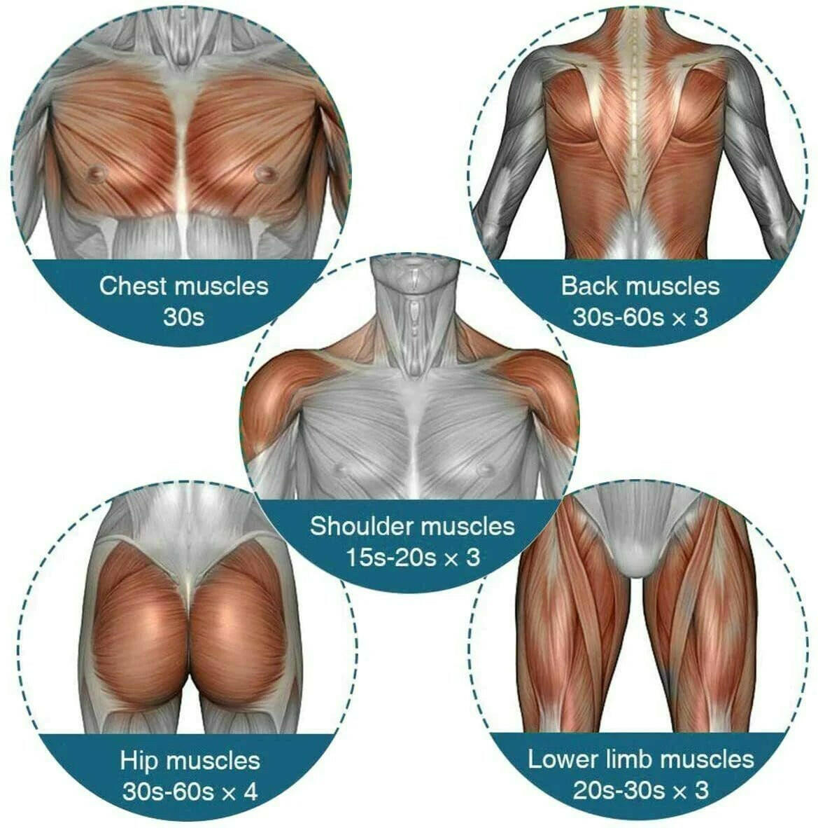 Massage Gun Percussion Massager Deep Tissue Muscle Vibrating Relaxing + 4 Heads - GadgetGrid