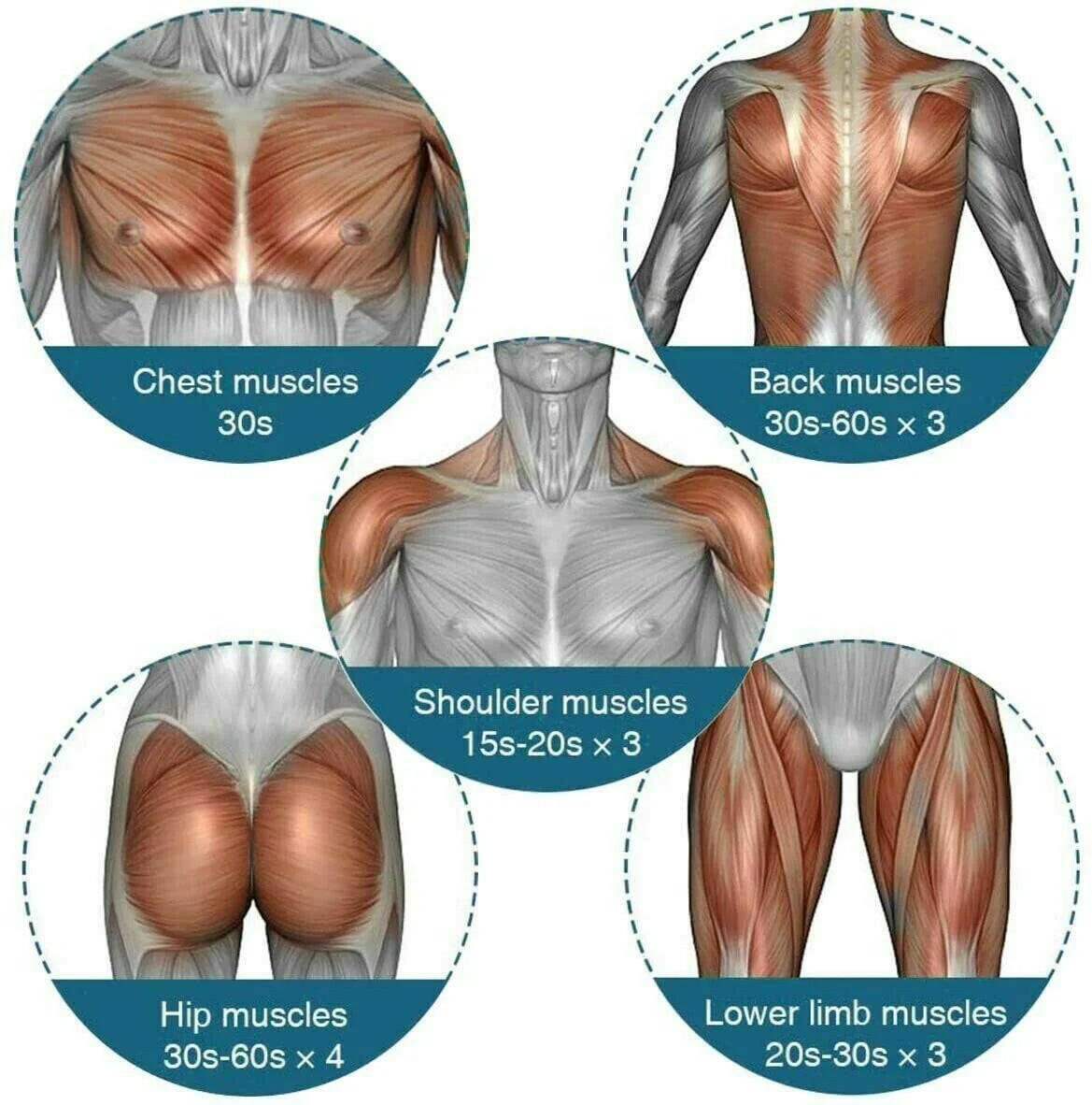 Massage Gun Percussion Massager Deep Tissue Muscle Vibrating Relaxing + 4 Heads - GadgetGrid